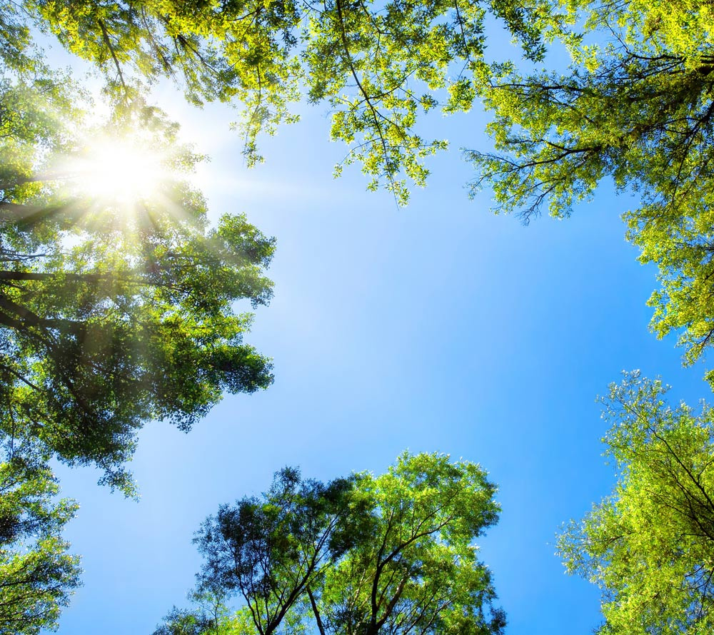 Enviromentálny inžiniering